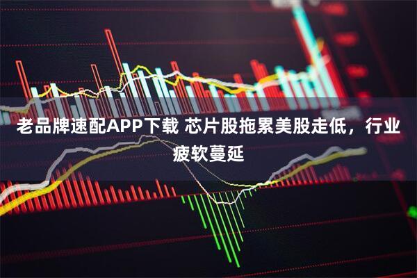 老品牌速配APP下载 芯片股拖累美股走低，行业疲软蔓延